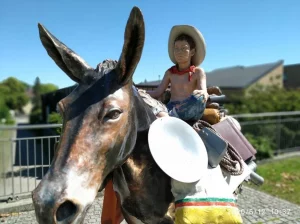 Umzugscowboy-