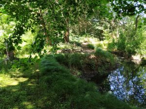 Altenmuenster-AmTeich